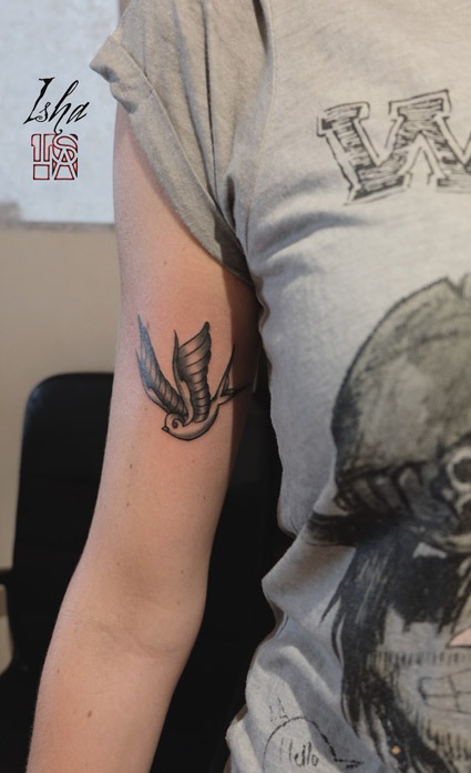 isha-daw-tattoo-hirondelle-oldschool-Loches