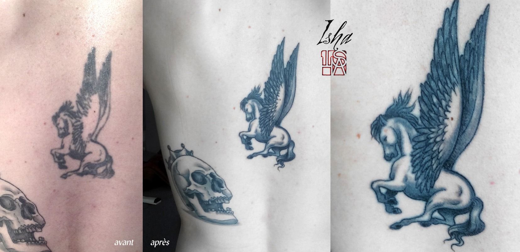 isha-daw-tattoo-pegase-crane-Loches