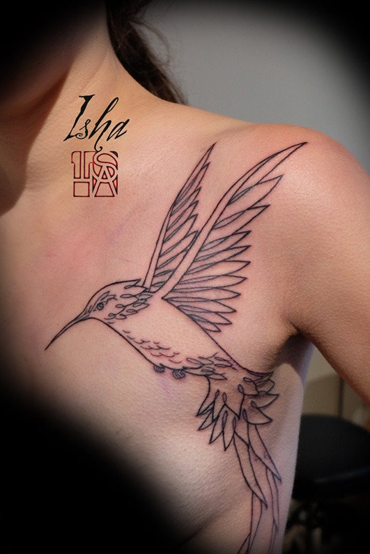 isha-daw-tattoo-tatouage-colibri-graphique-trait-Loches