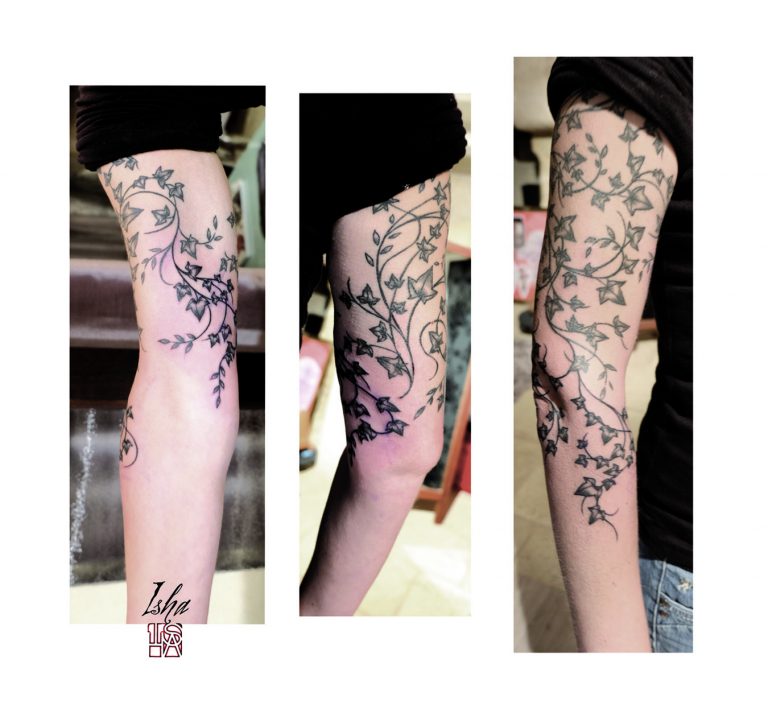 agrand-lierre_leg