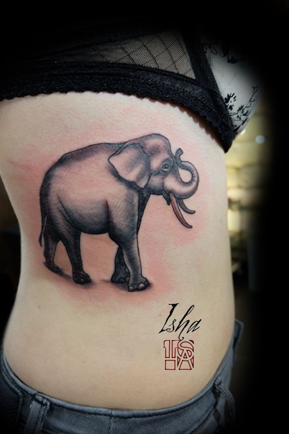 elephant-isha