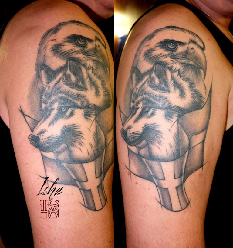 loup-aigle-isha